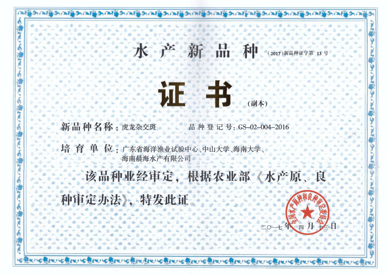 厲害了，我的“虎龍雜交斑”
