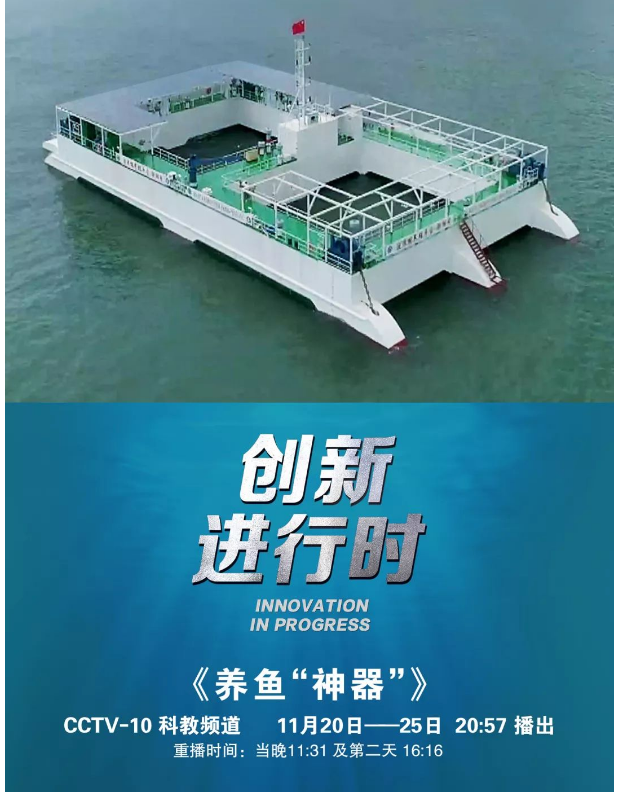 風(fēng)再猛、浪再大，都攔不住我養(yǎng)魚的雄心！